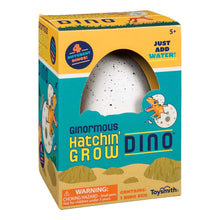 GINORMOUS GROW DINO EGG