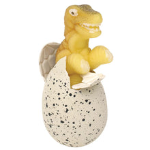 GINORMOUS GROW DINO EGG