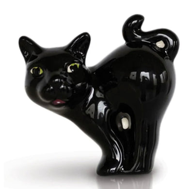 SCAREDY CAT