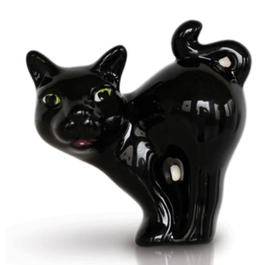SCAREDY CAT