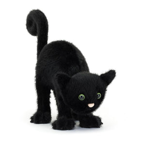 SPOOKIPAWS CAT