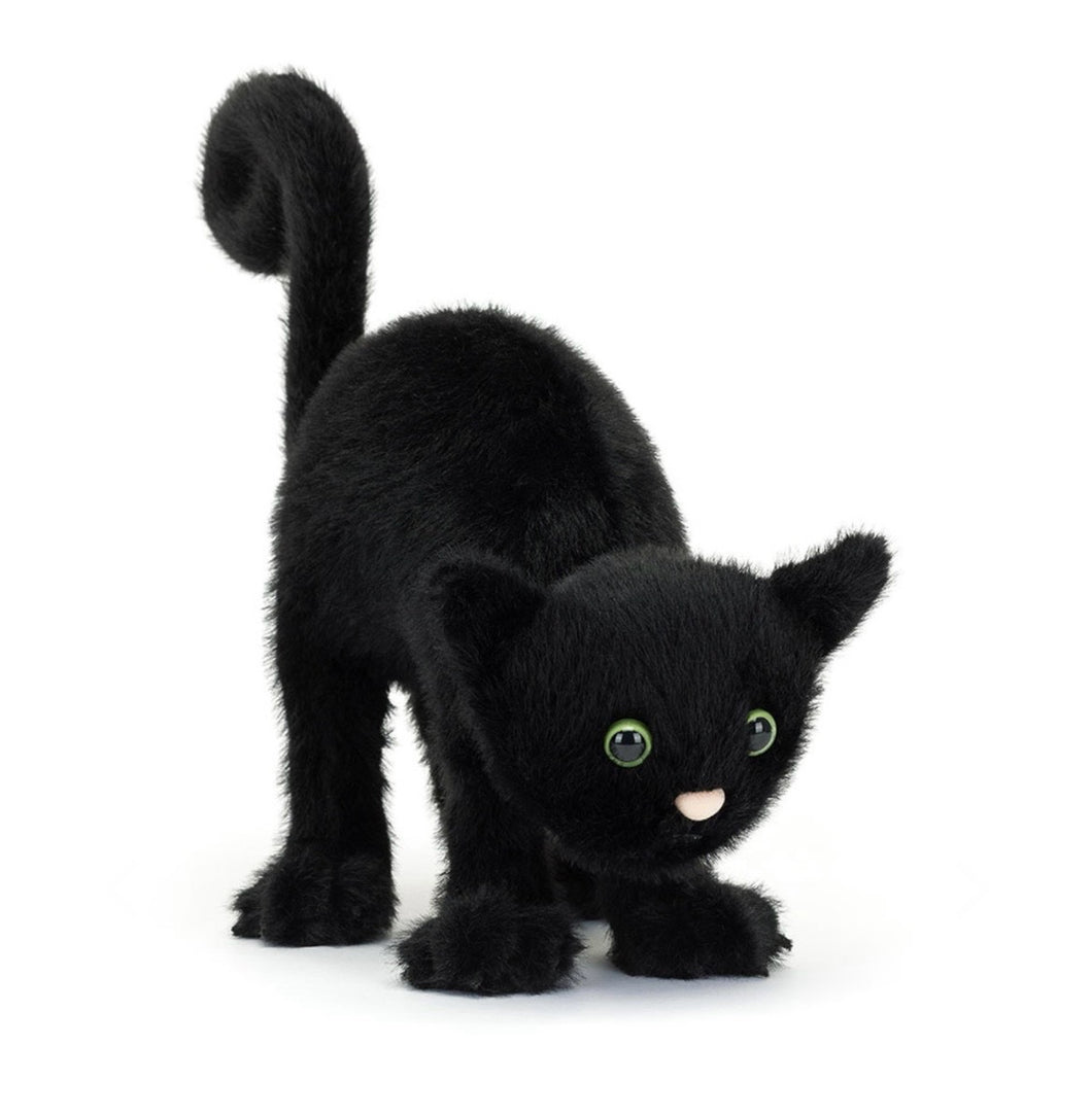 SPOOKIPAWS CAT