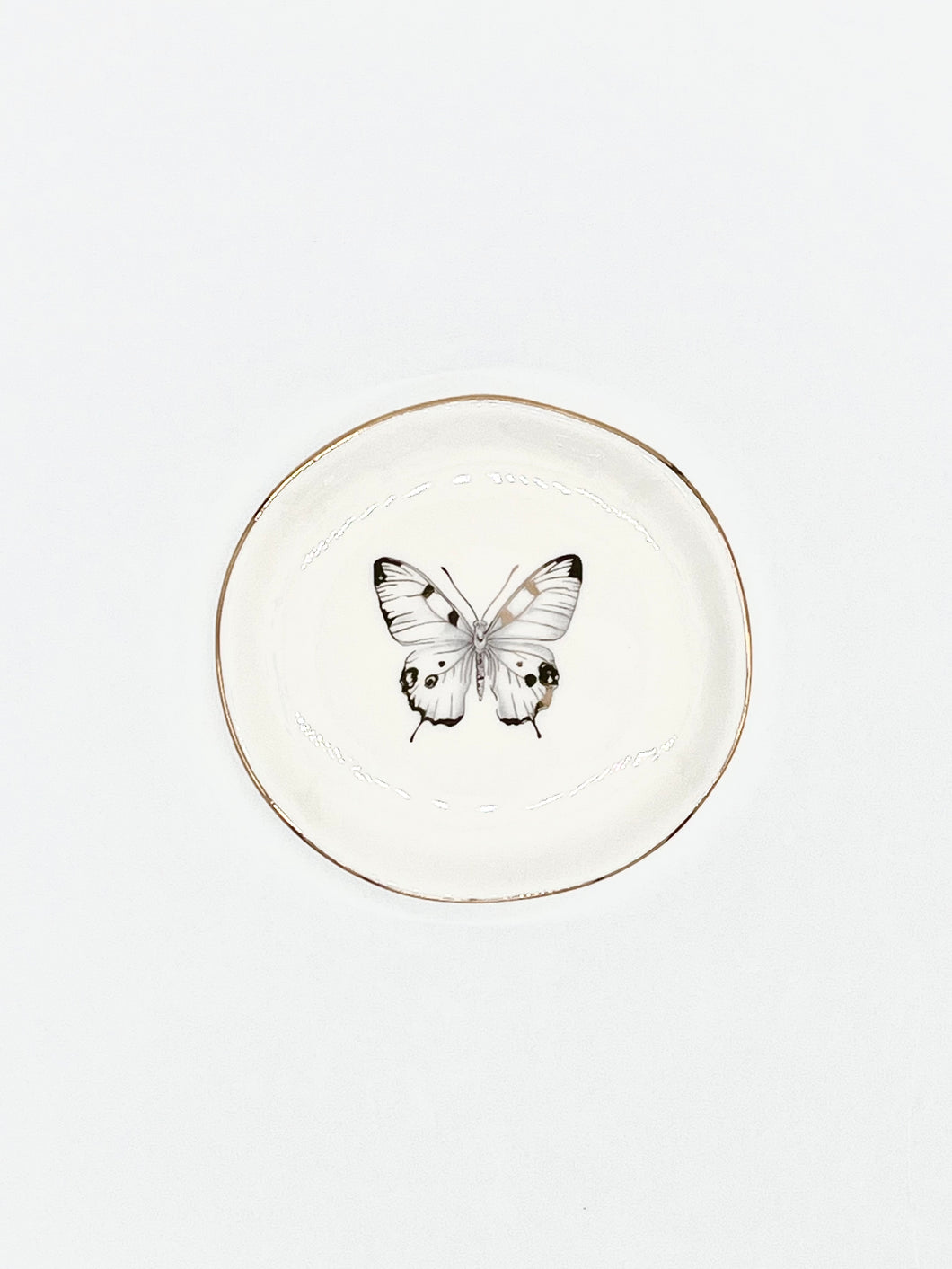 GOLD DISH BUTTERFLY