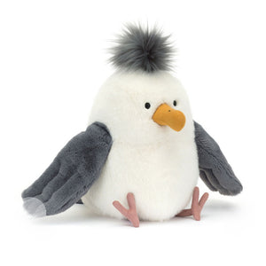 CHIP SEAGULL