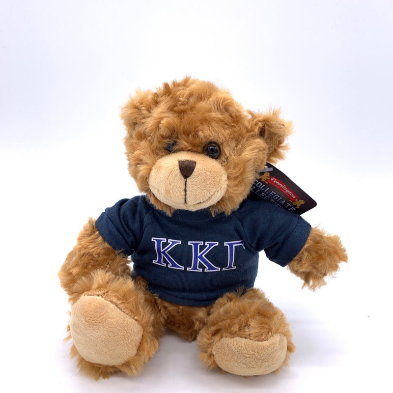 KAPPA KAPPA GAMMA HOODIE BEAR – Sanctuary Home Gifts
