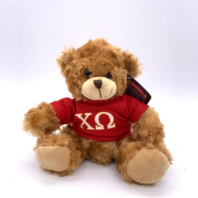 CHI OMEGA HOODIE BEAR